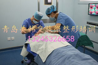 微整形培训哪里好 青岛美韩皇族价格 微整形培训哪里好 青岛美韩皇族型号规格