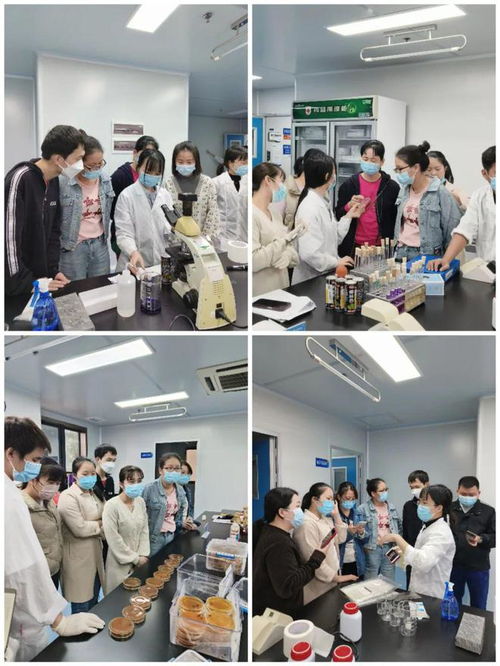 海南省食品安全协会成功举办2024年食品检验员职业技能培训班暨微整形培训学校专题活动