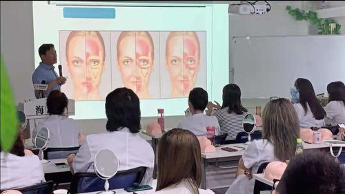 北京与内江微整形培训指南 学校选择与报名流程